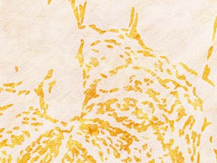 オレンジ #1  *from group exhibition "Linocut" at Gallery Nomart